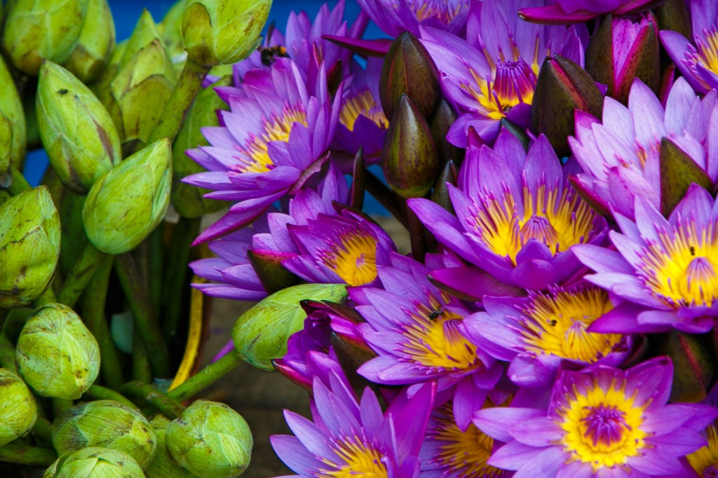 Kandy temple flowers