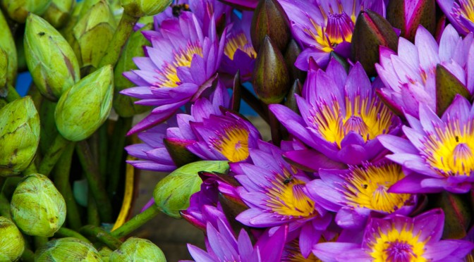 Kandy temple flowers