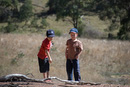 mudgee farm