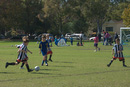 leichhardt saints u9/5