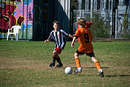 leichhardt saints u9/5