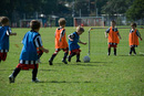 leichhardt saints u6 blue