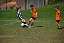 soccer gallery index