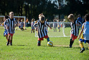 leichhardt saints u6 blue